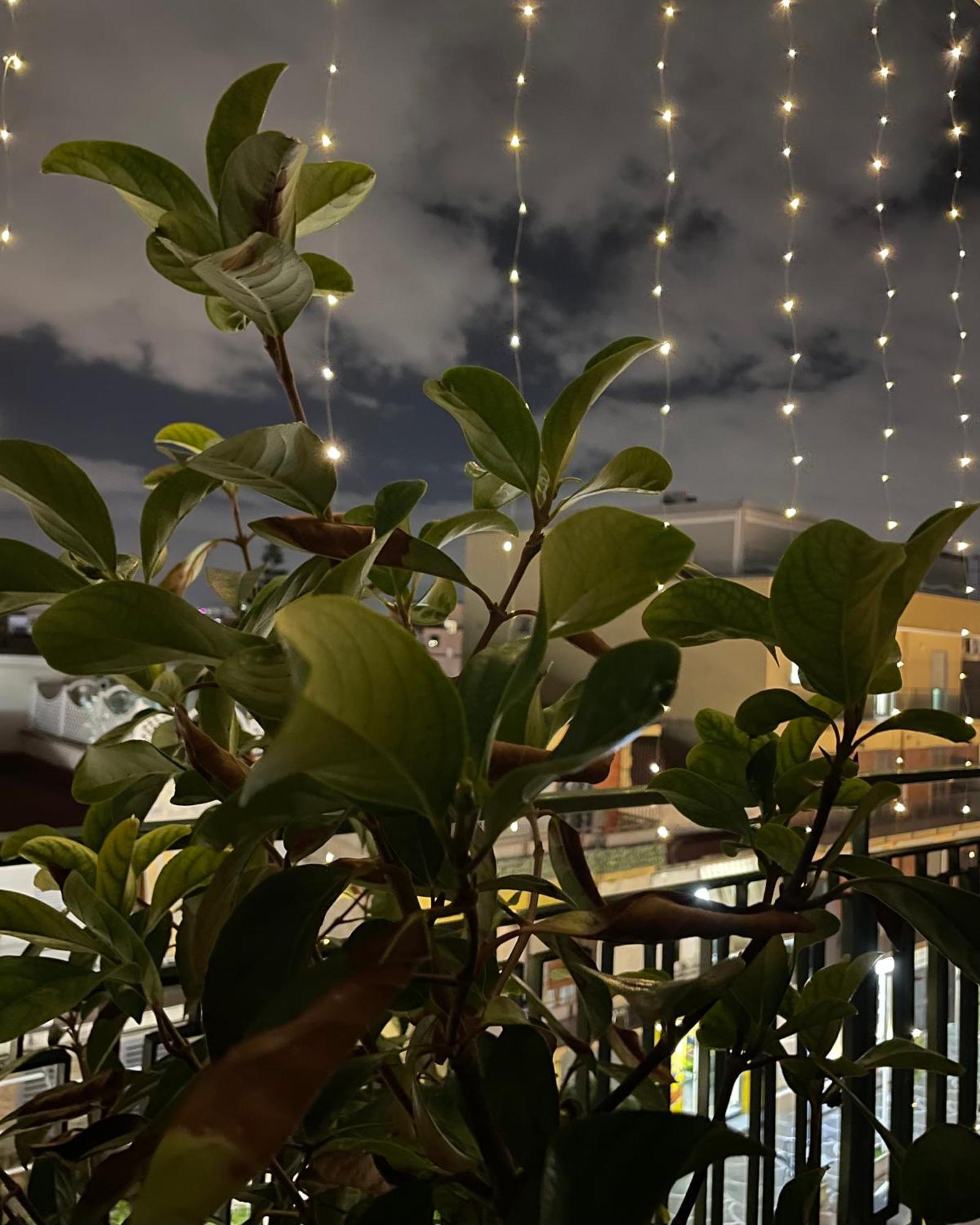 B&B D'Aponte Home Volla  Eksteriør bilde